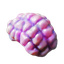 Jellynut
