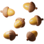 Tree seed
