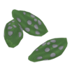 Forest Seed Trees
