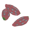 Rocky Desert Seed Plants