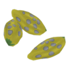 Sandy Desert Seed Plants