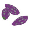 Tropical Rainforest Seed Plants