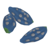 Tropical Rainforest Seed Trees