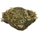 Biomass