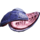 Hatcher Remains