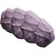 Hog Remains