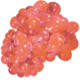 Paleberry
