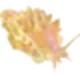 Yellow Power Slug